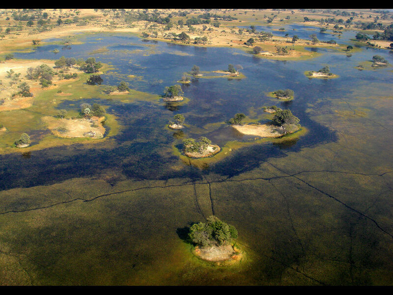 Aerial view of a wetland