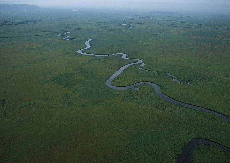 Aerial view of a winding river