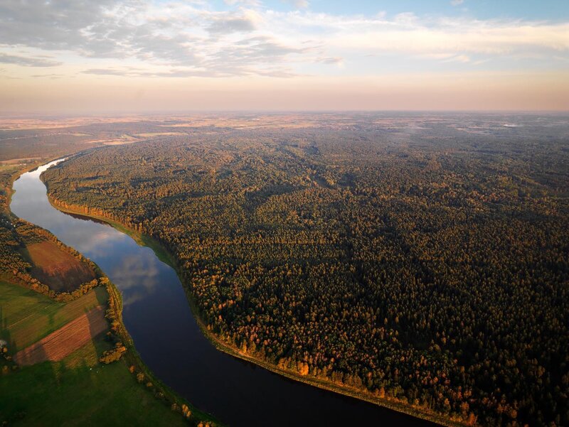 Aerial view of a winding river