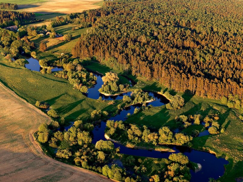 Aerial view of a winding river