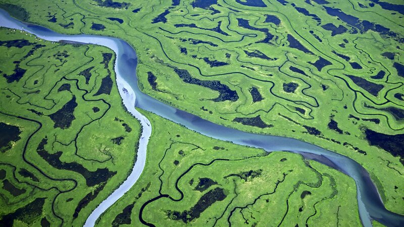 Aerial view of a winding river