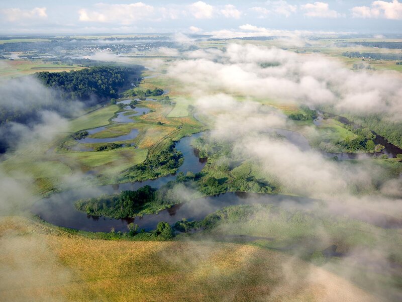Aerial view of a winding river