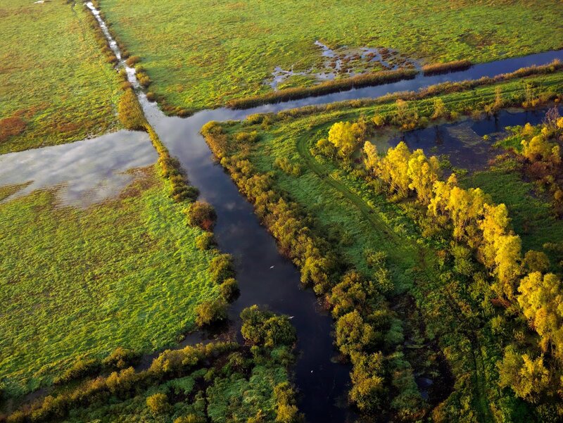 Aerial view of a winding river