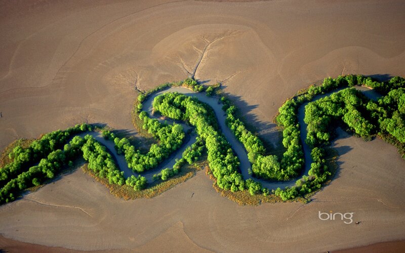 Aerial view of a winding river