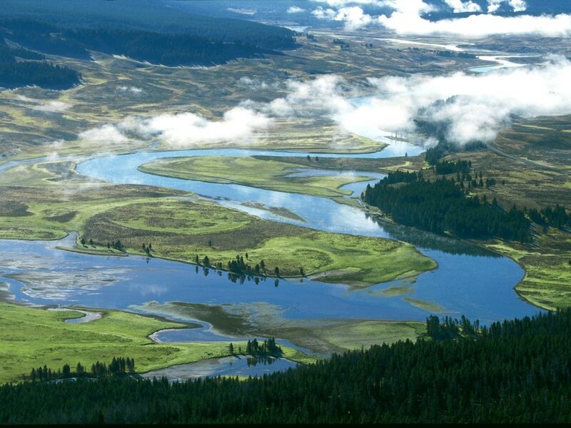 Aerial view of a winding river