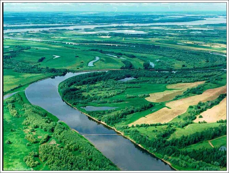 Aerial view of a winding river