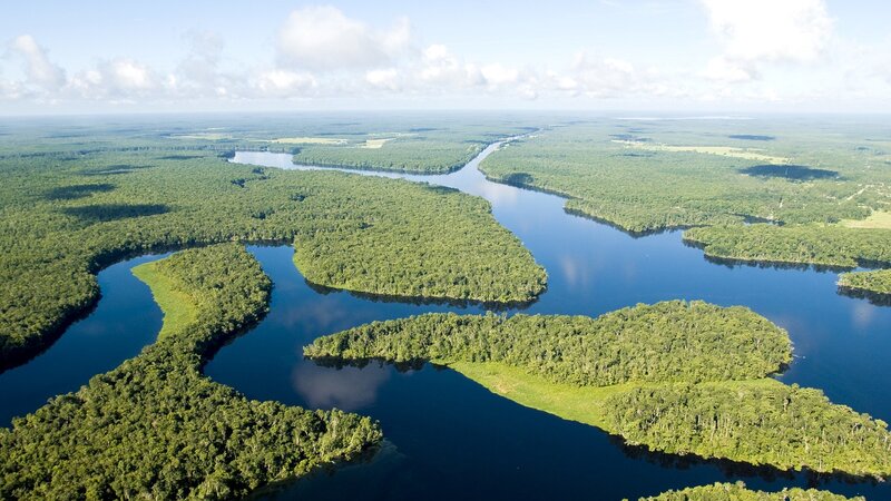 Aerial view of a winding river