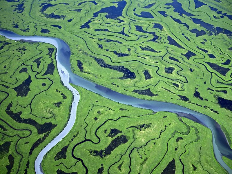 Aerial view of a winding river