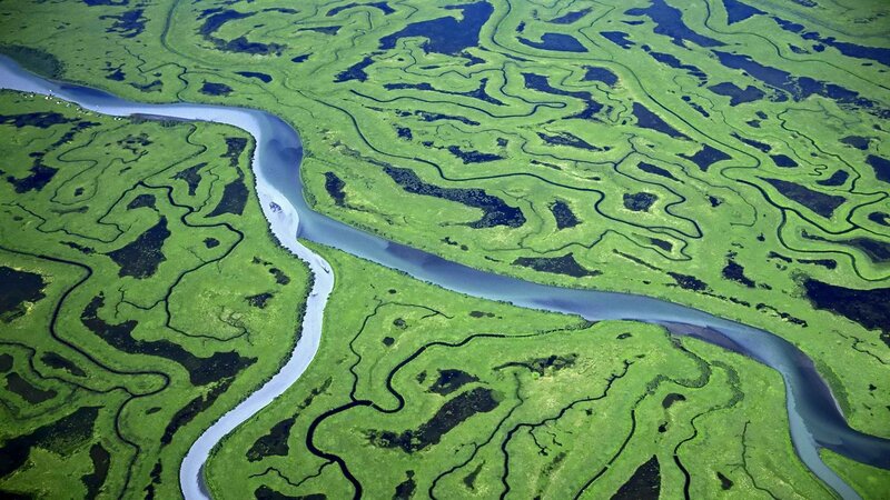 Aerial view of a winding river
