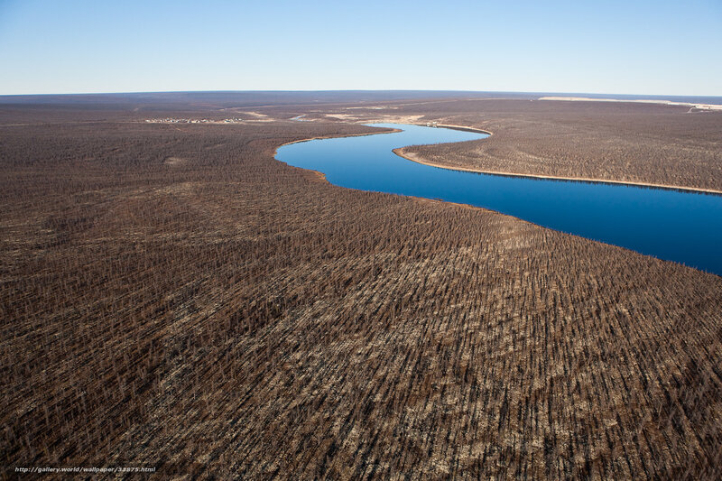 Aerial view of a winding river