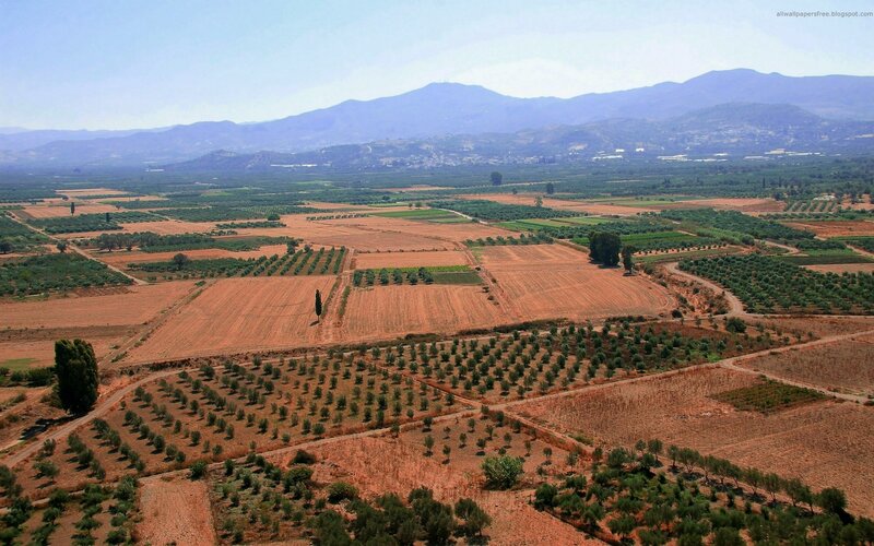 Aerial view of agricultural fields