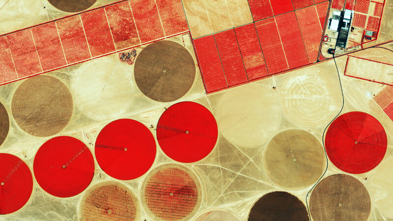 Aerial view of agricultural fields