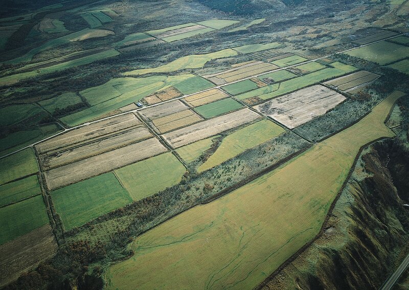 Aerial view of agricultural fields