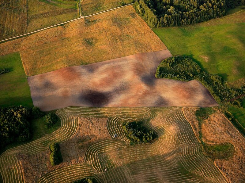 Aerial view of agricultural fields