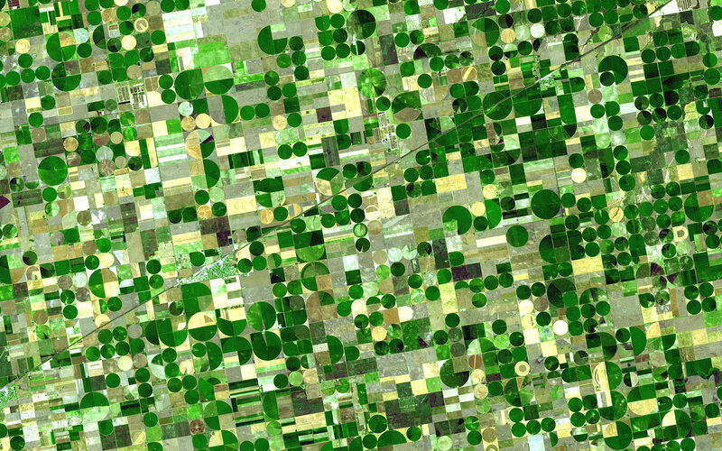 Aerial view of agricultural fields