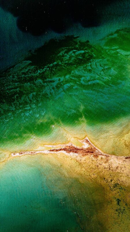 Aerial View of Algae Bloom