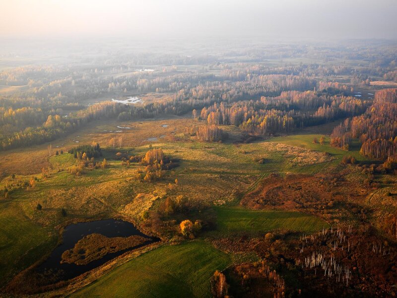 Aerial view of autumn landscape