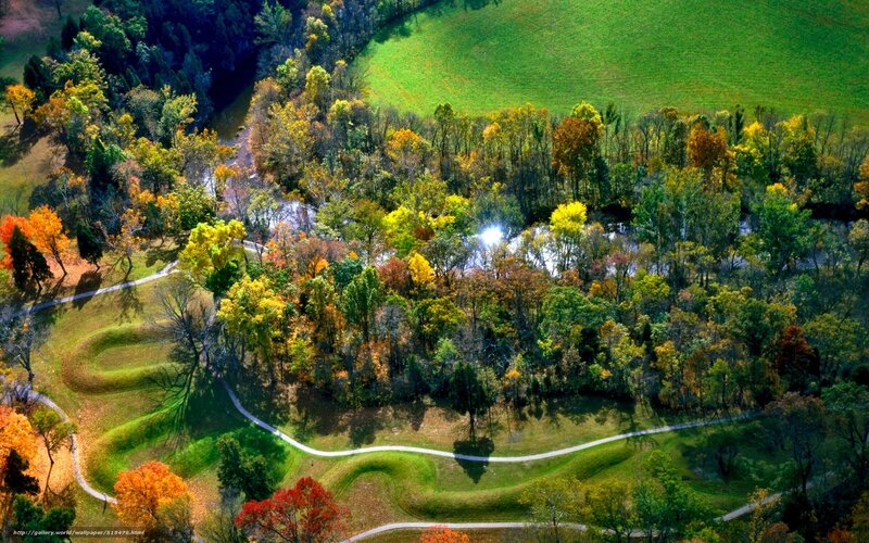 Aerial view of autumn park