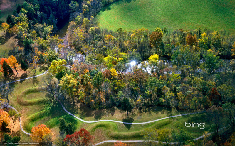 Aerial view of autumn park