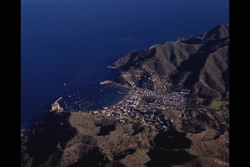 Aerial view of Avalon harbor
