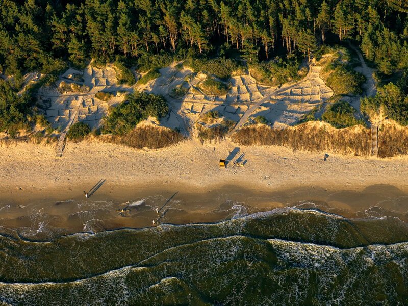 Aerial view of beach and forest