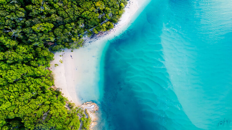 Aerial View of Beach — Green, Serene, Afternoon, Photograph, Forest