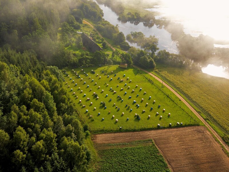 Aerial view of beehives
