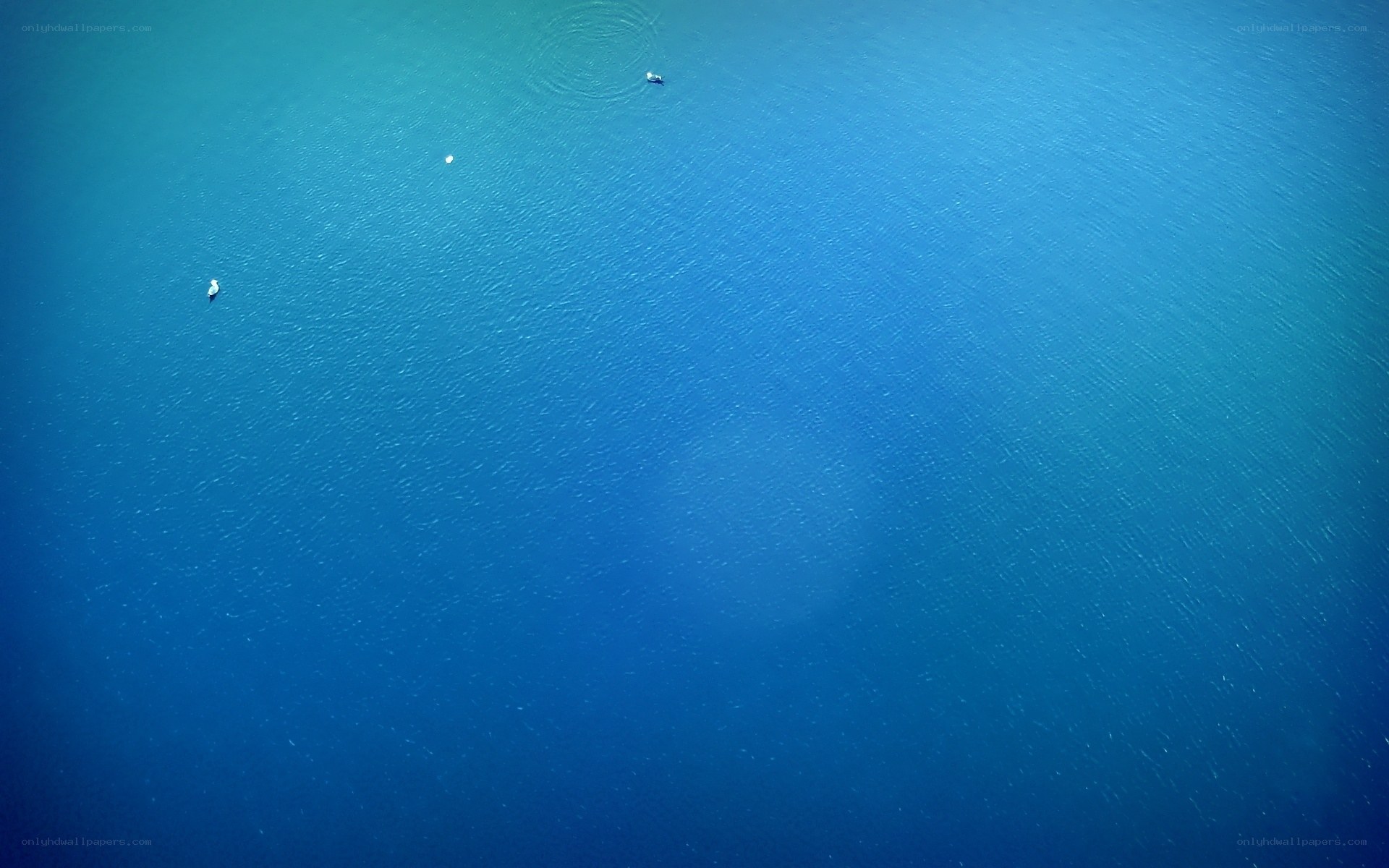 Aerial view of calm blue water