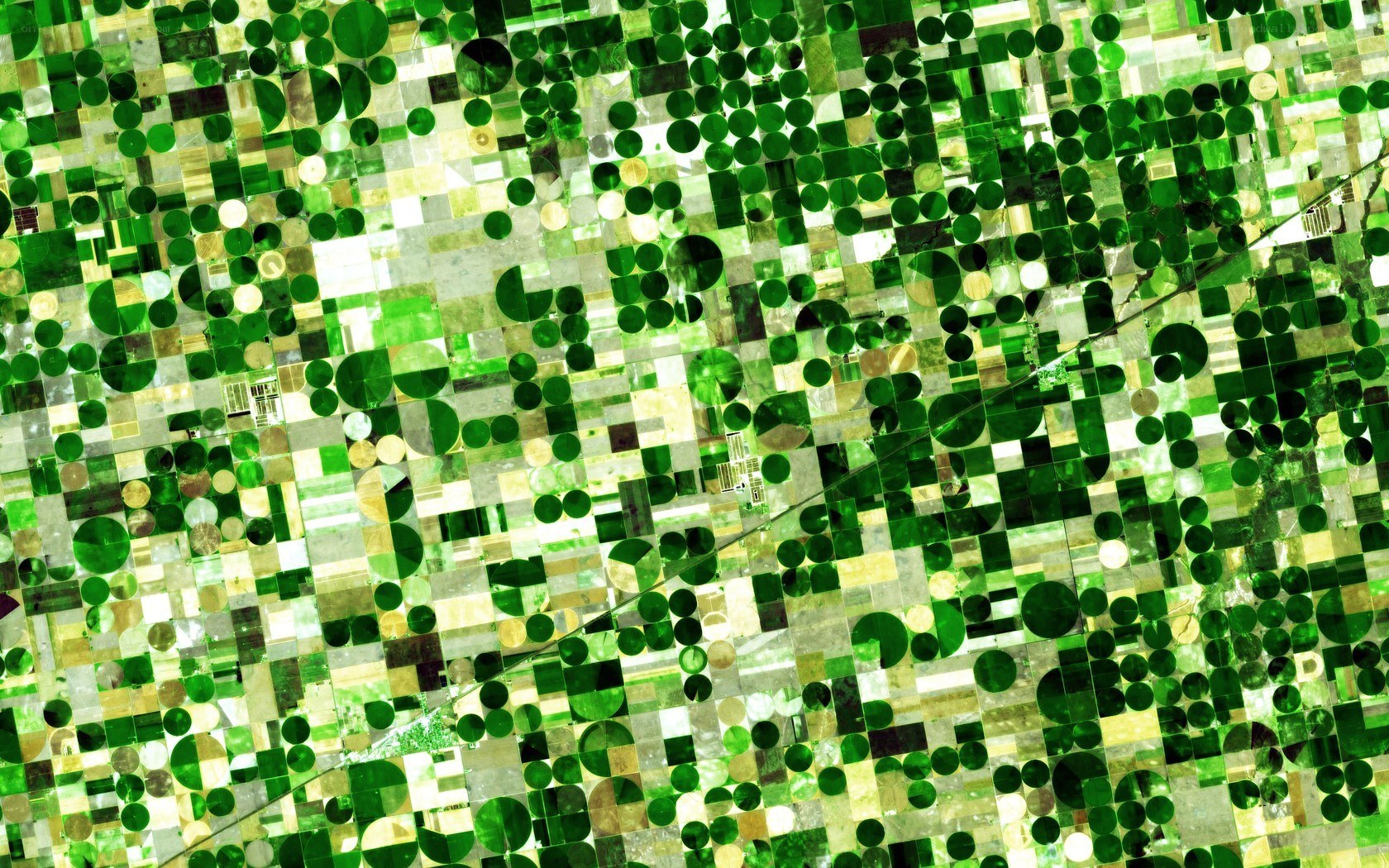 Aerial view of circular fields