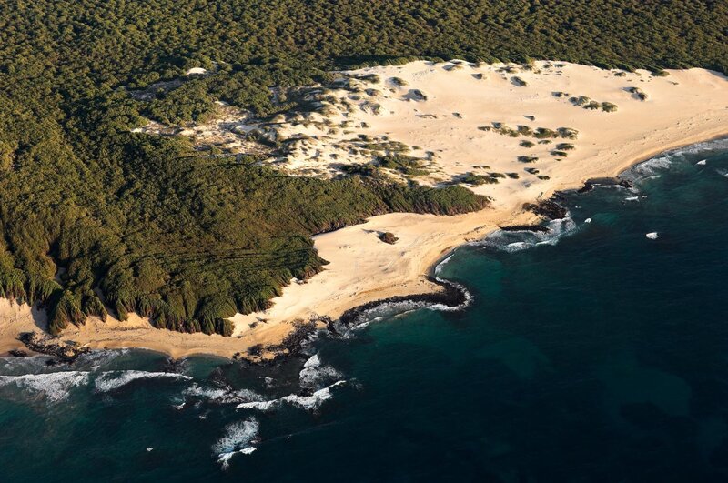 Aerial view of coastal dunes