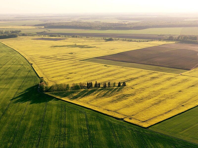Aerial view of colorful fields