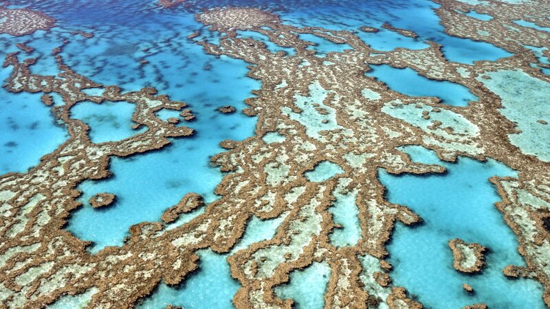 aerial view of coral reef