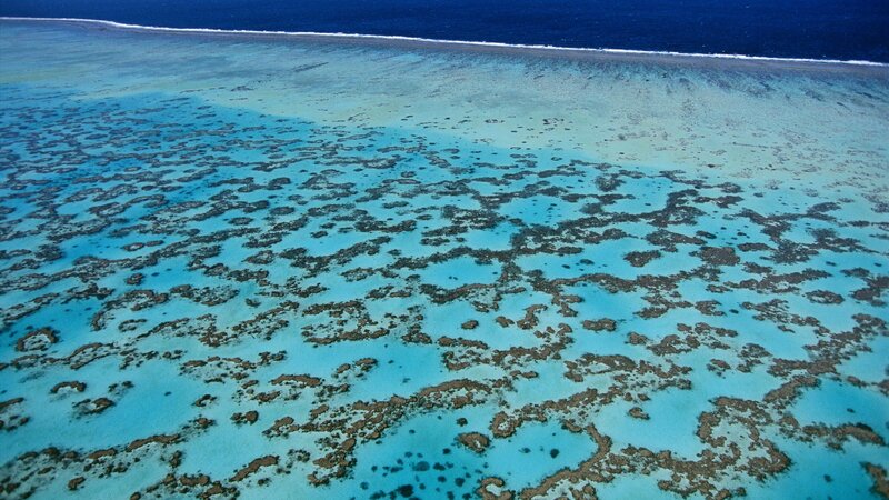 aerial view of coral reef