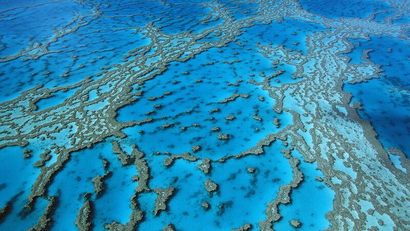 Aerial view of coral reef