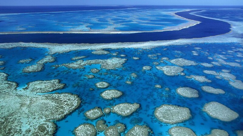 aerial view of coral reef