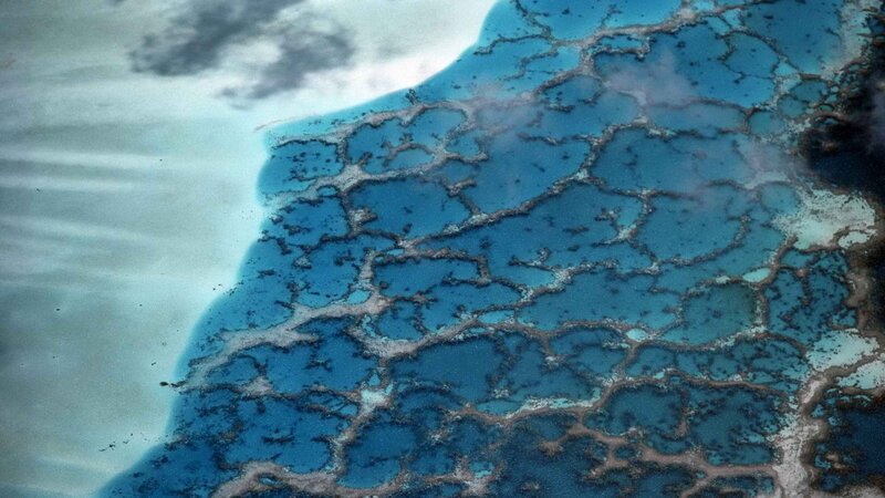 Aerial view of coral reef