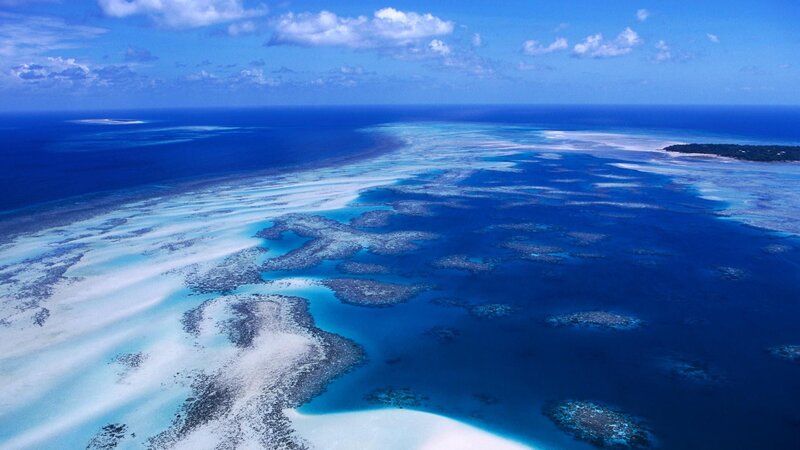 Aerial view of coral reef