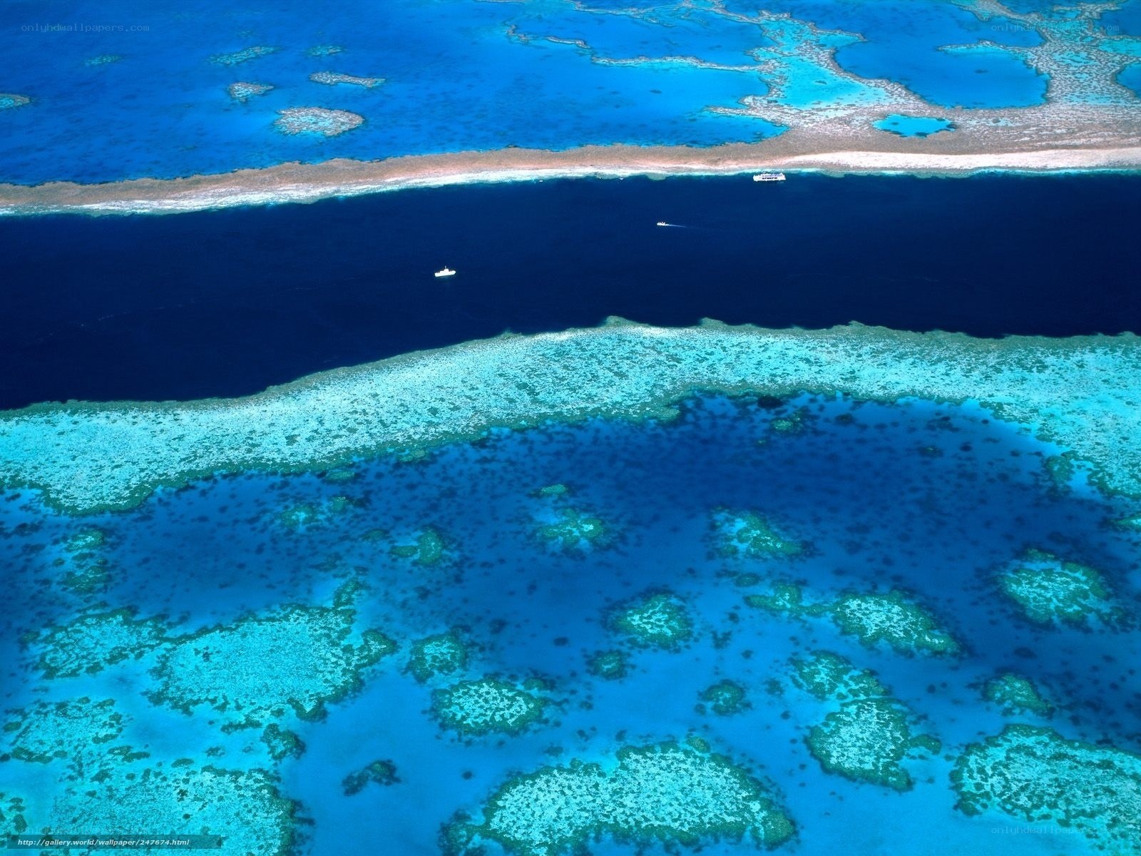 Aerial view of coral reef