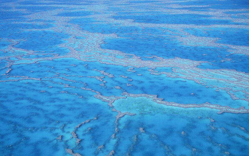 Aerial view of coral reef