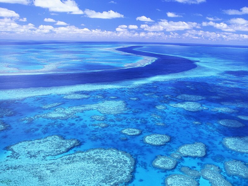Aerial view of coral reef