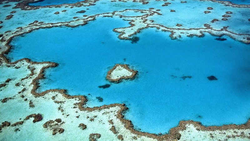 aerial view of coral reef