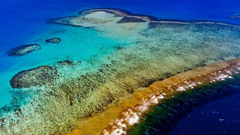 Aerial view of coral reef