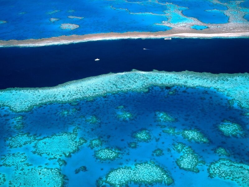 Aerial view of coral reef