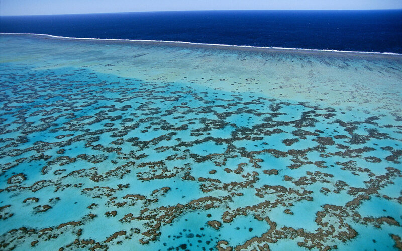 Aerial view of coral reef