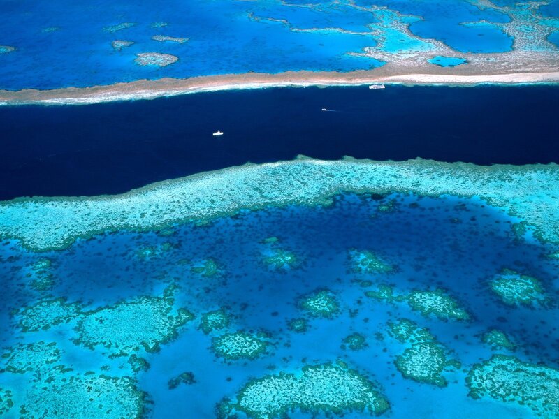 Aerial view of coral reef