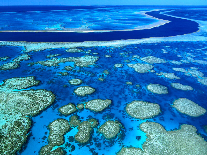 Aerial view of coral reef
