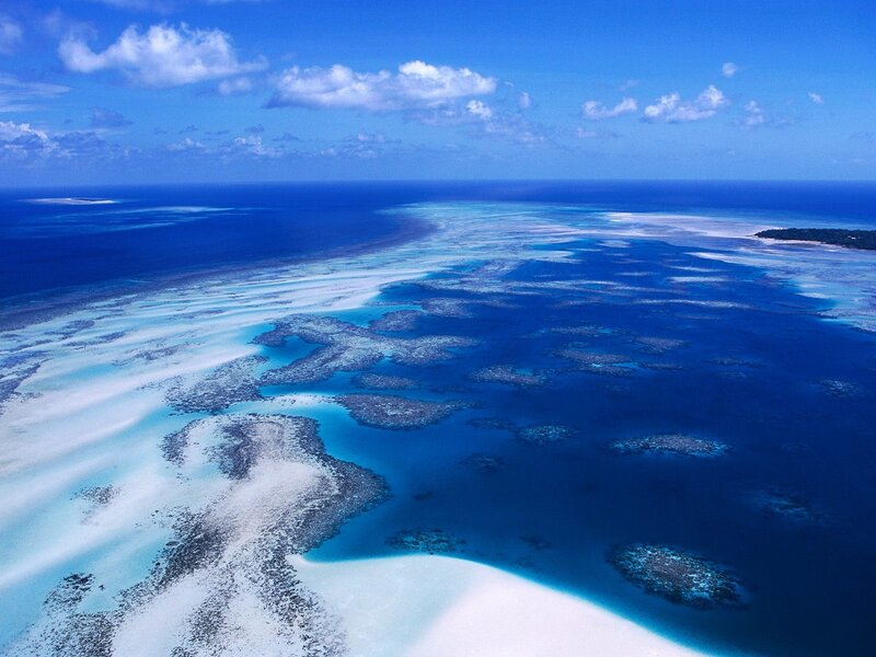 Aerial view of coral reef