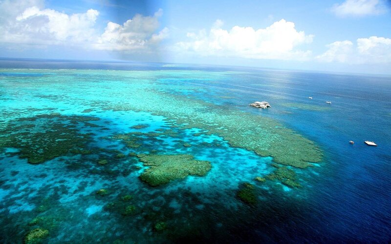 Aerial view of coral reef