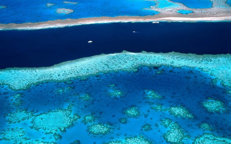Aerial view of coral reef