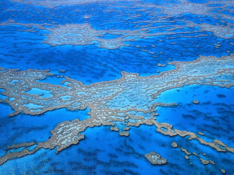 aerial view of coral reef